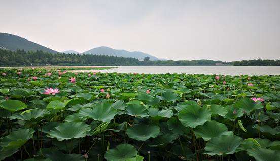 2019年度讀書節(jié)活動工作總結